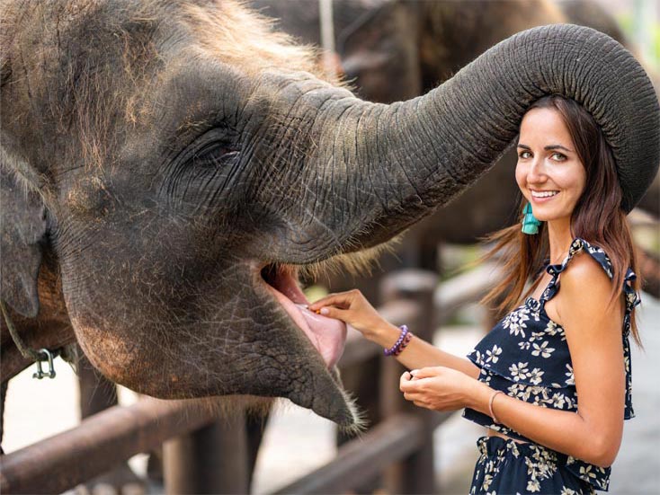 Mykolaiv Zoo Mykolaiv Zoo